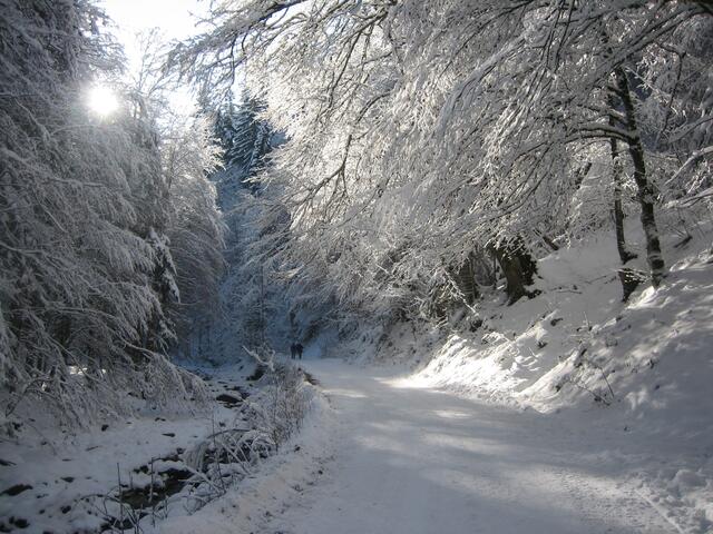 Wanderweg