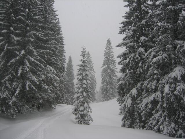 An der Schwarzentenn Alm