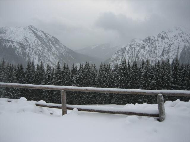 Auf der Aueralm
