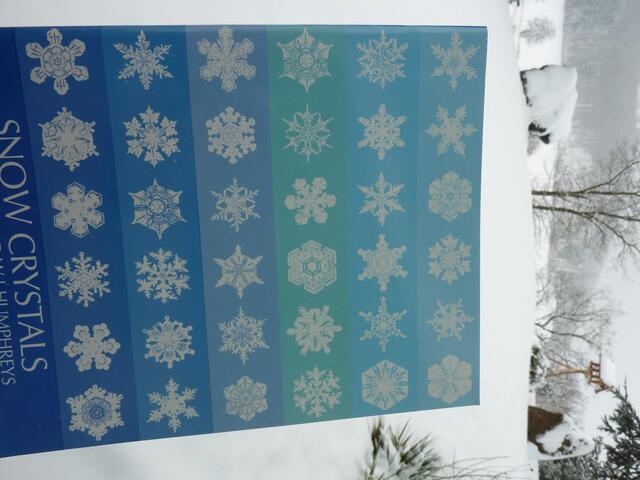 SNOW CRYSTALS (Bentley & Humphreys) im Schnee mit Futterhaus. (a&s-W.H.)