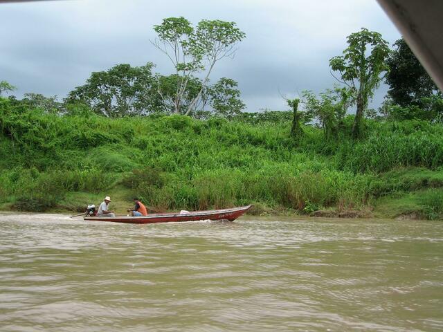 Brandgerodetes Ufer des Amazonas