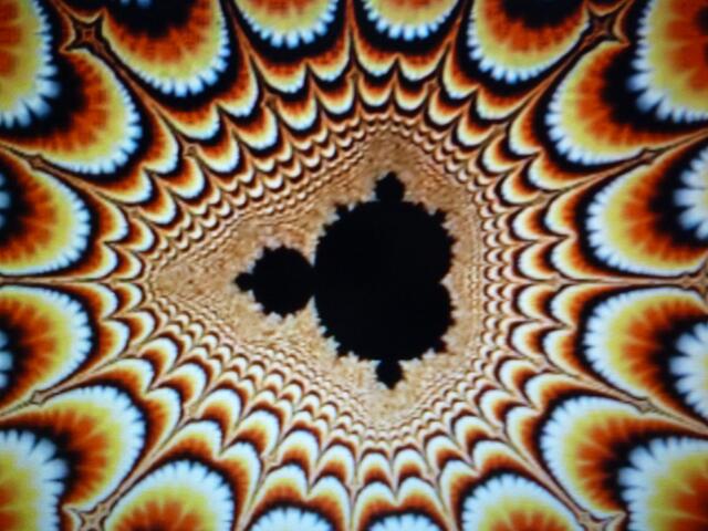 1980 entdeckt: sog. Mandelbrotmenge; Apfelmännchen getauft. Eines der Grundelemente der "Fraktalen Geometrie". Siehe mein Symmetriebuch Abb. 613.