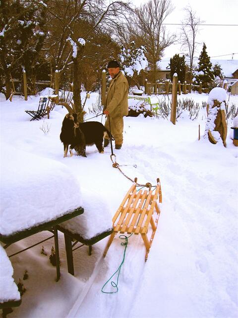 Warum is'n da keiner drauf auf'm Schlitten? Für wen renne ich denn durch den Schnee?