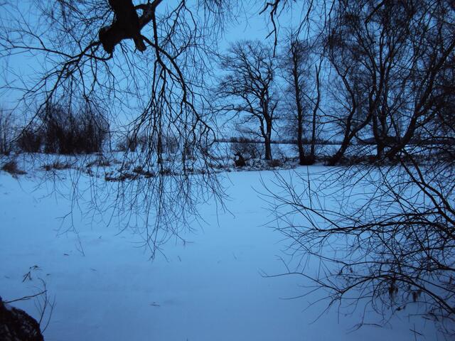 Winterstimmung am zugefrorenem Weiher