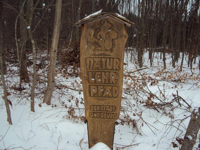 Lehrpfad im Günzburger Birketwald