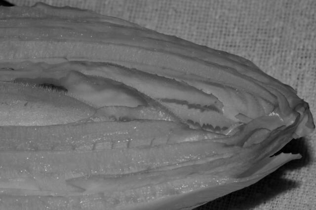 Hier ist Fantasie gefragt