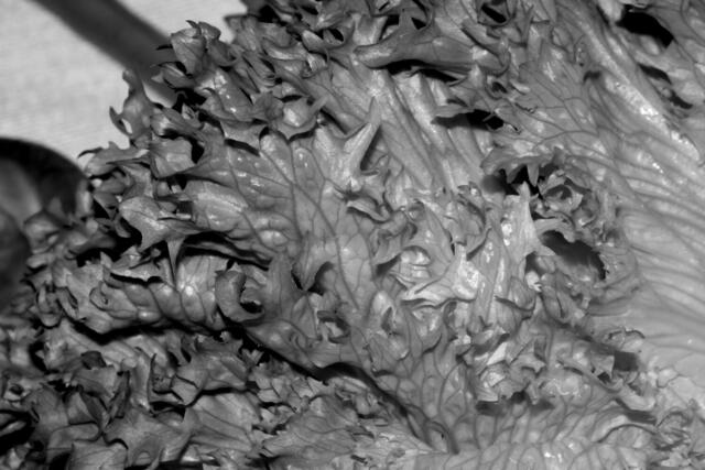 Kohl hatten wir auch