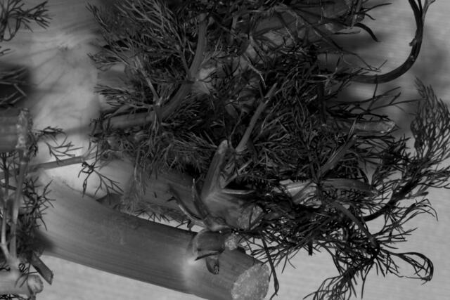 Donnerstagrunde im Studio