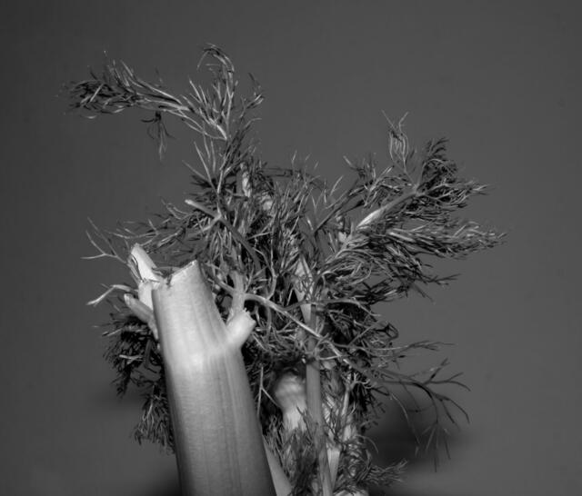 Donenrstagrunde im Studio