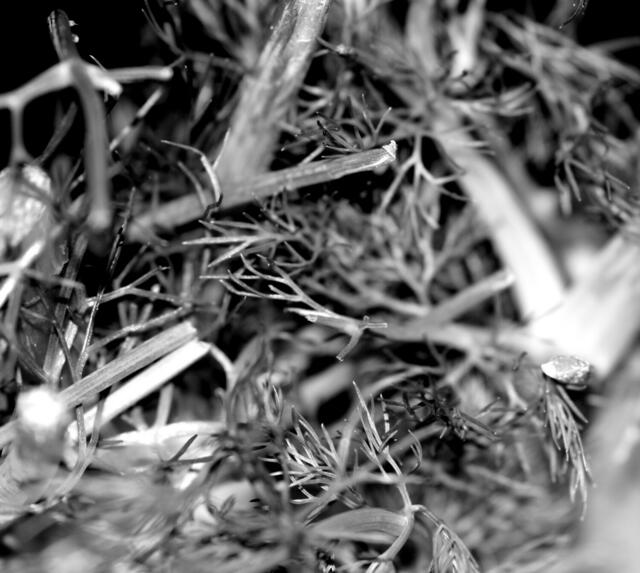 Könnte überall sein