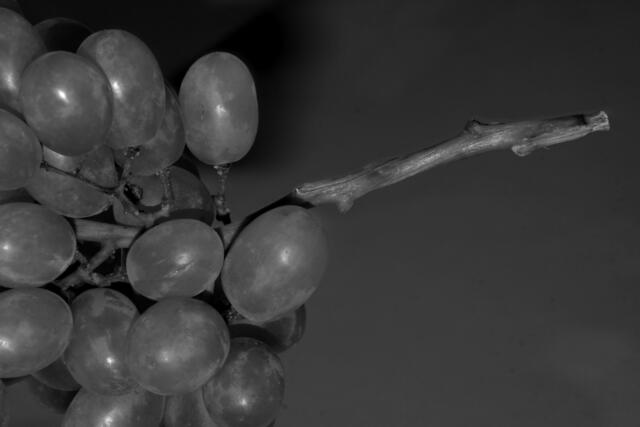 Weintrauben wirken ganz anders