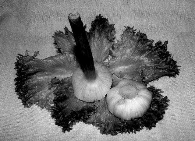 Gemüse einmal als Ganzes