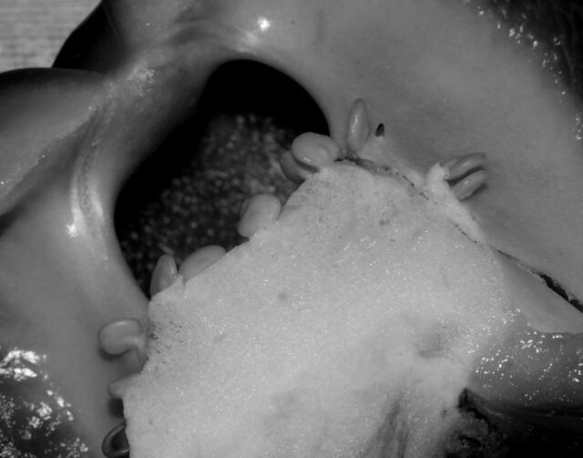 Innenleben einer Paprika