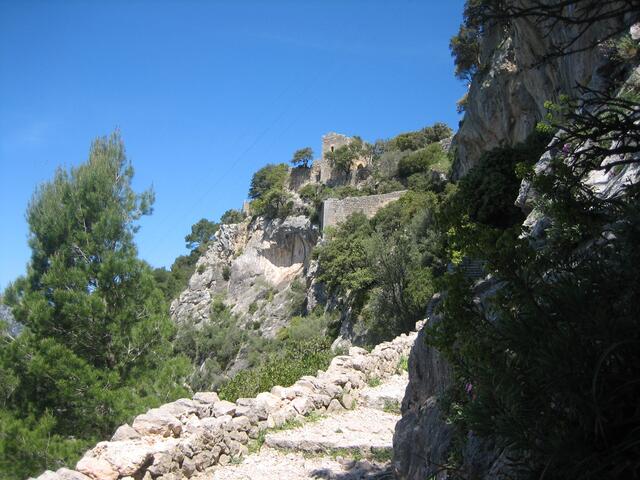 Castell Alaro