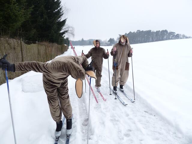 Staffel-Hasen