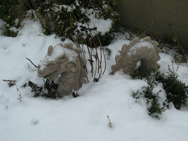 Der kleine Salzbödedrachen im Schnee