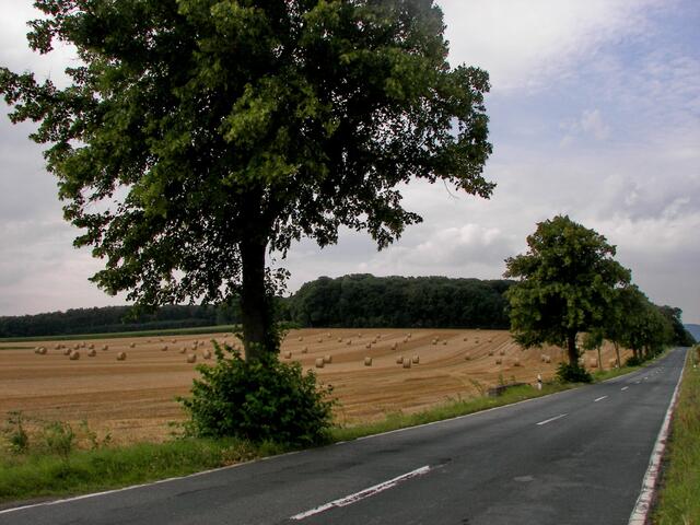 dieses Foto enstand an der gleichen Stelle im August des vergangenen Jahres