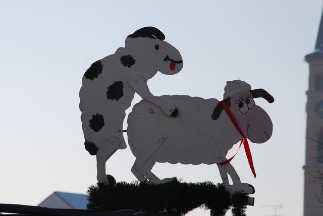Friedberger Faschingsumzug 2010