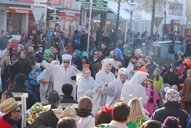 Friedberger Faschingsumzug 2010