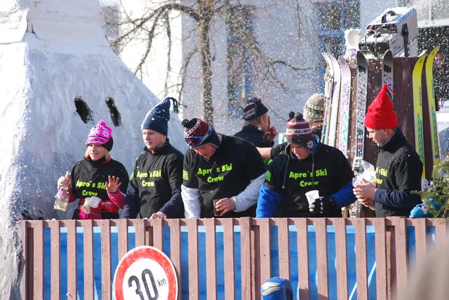 Friedberger Faschingsumzug 2010