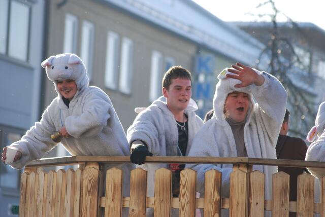 Friedberger Faschingsumzug 2010