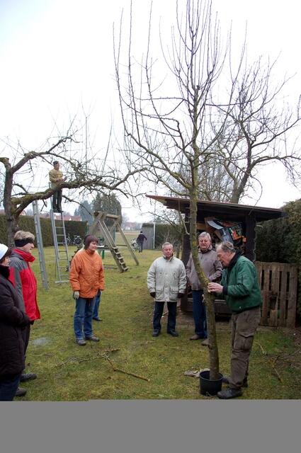 Den richtigen Baumschnitt erlernte man von Kolpingsmitglied Gerhard Munz