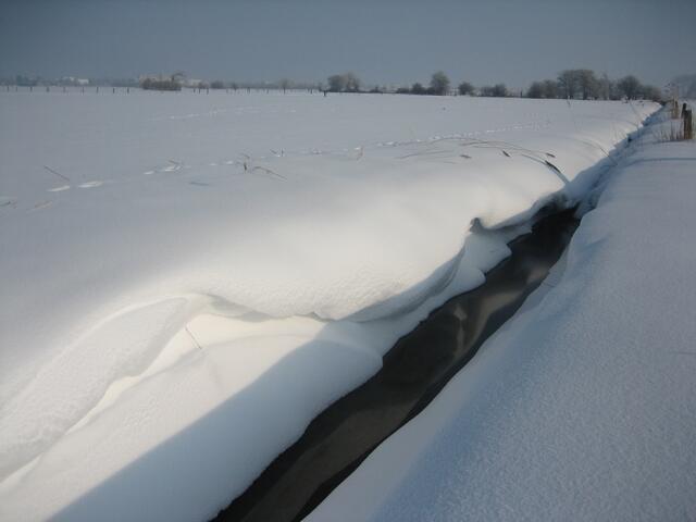 Winteridyll