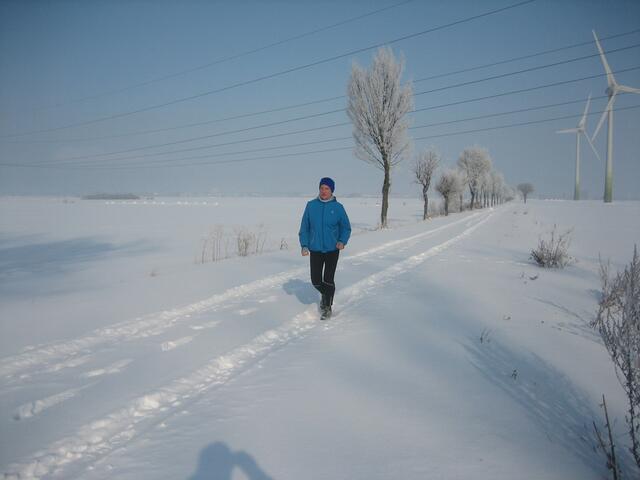 Winteridyll