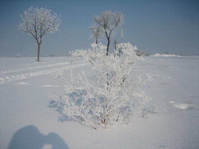 Winteridyll