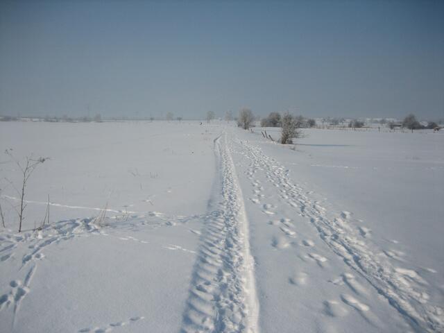 Winteridyll
