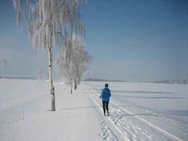 Winteridyll