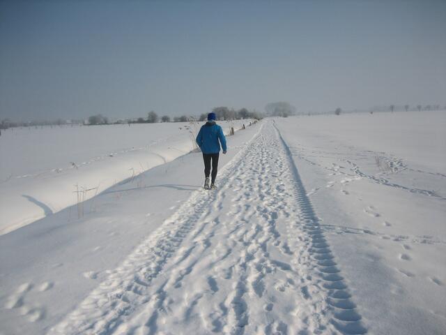 Winteridyll