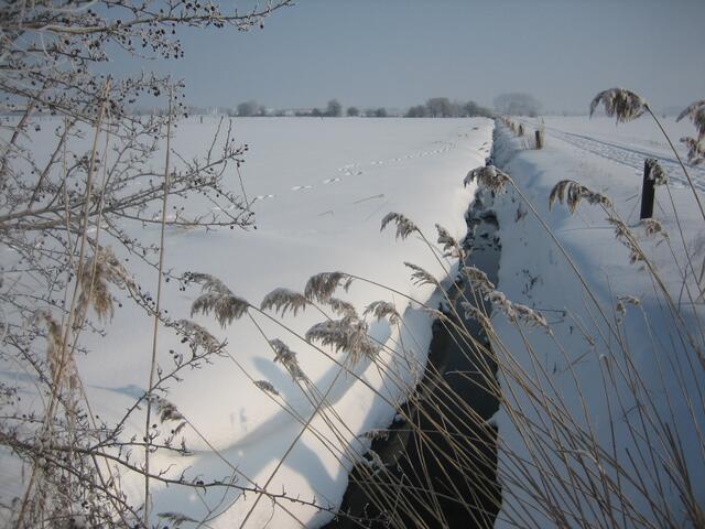 Winteridyll