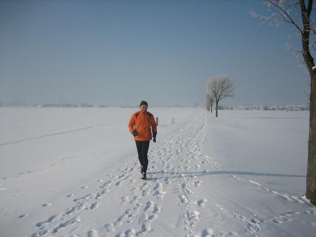 Winteridyll