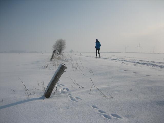 Winteridyll