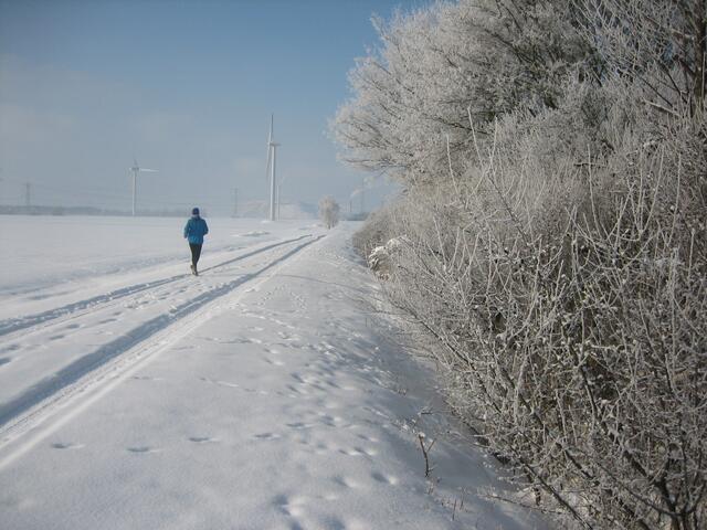 Winteridyll