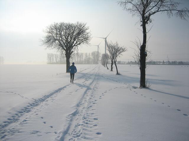 Winteridyll
