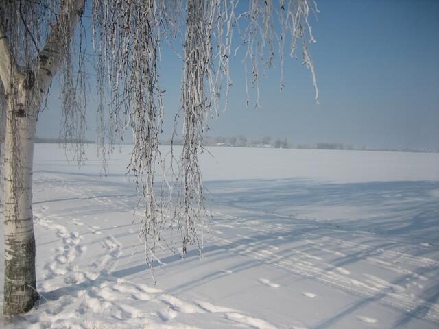 Winteridyll