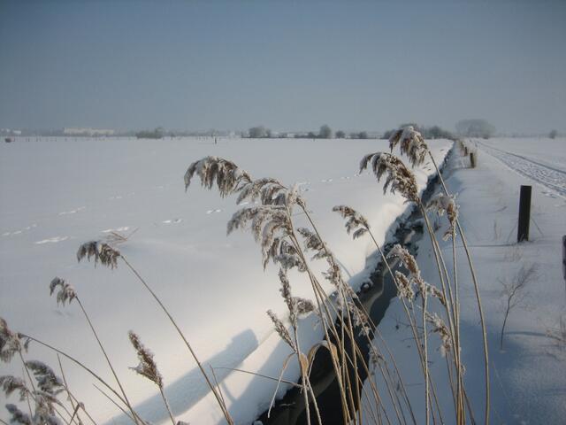Winteridyll