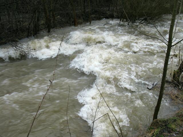 Hochwasser an der Salzböde, an der großen Fischtreppe