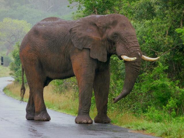 ... habt ihr es wirklich so eilig? ...