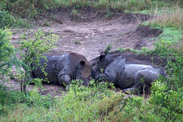 Am Schönsten ist es in der Suhle!