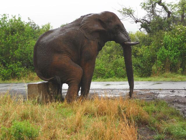 ... und ruhe mich etwas aus!