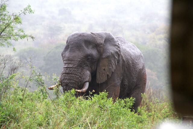 ... erst muss ich noch etwas Essen ...