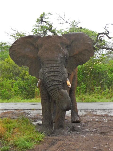 ... na, dann gehe ich mal zur Seite ...