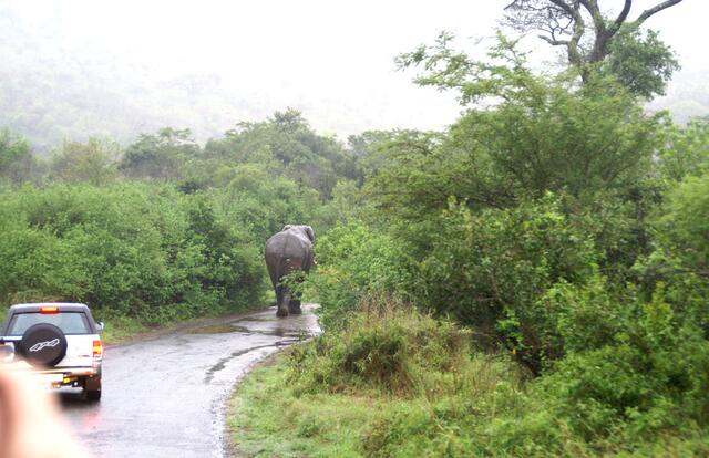 Ihr wollt doch nicht wirklich schon nach Hause ...