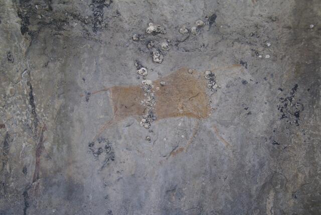 Felszeichnungen, Antilope