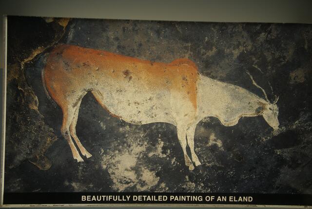 Felszeichnungen, Antilope