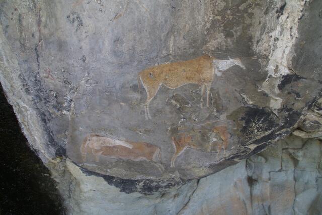 Felszeichnungen, Antilopen