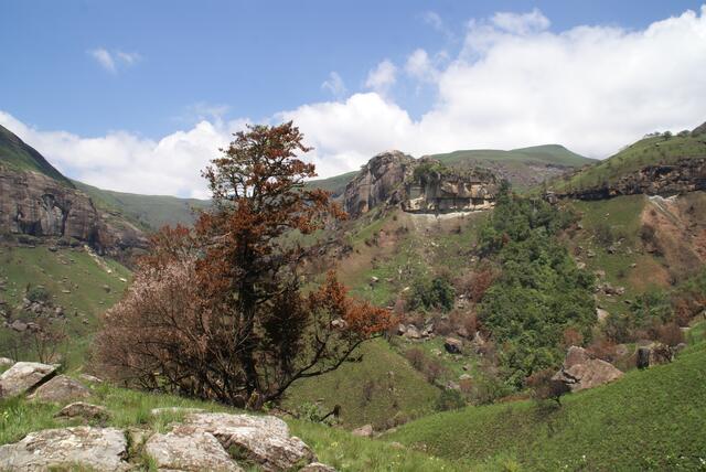 Steiler Aufstieg zu den originalen Felsbildern in den Drakensbergen